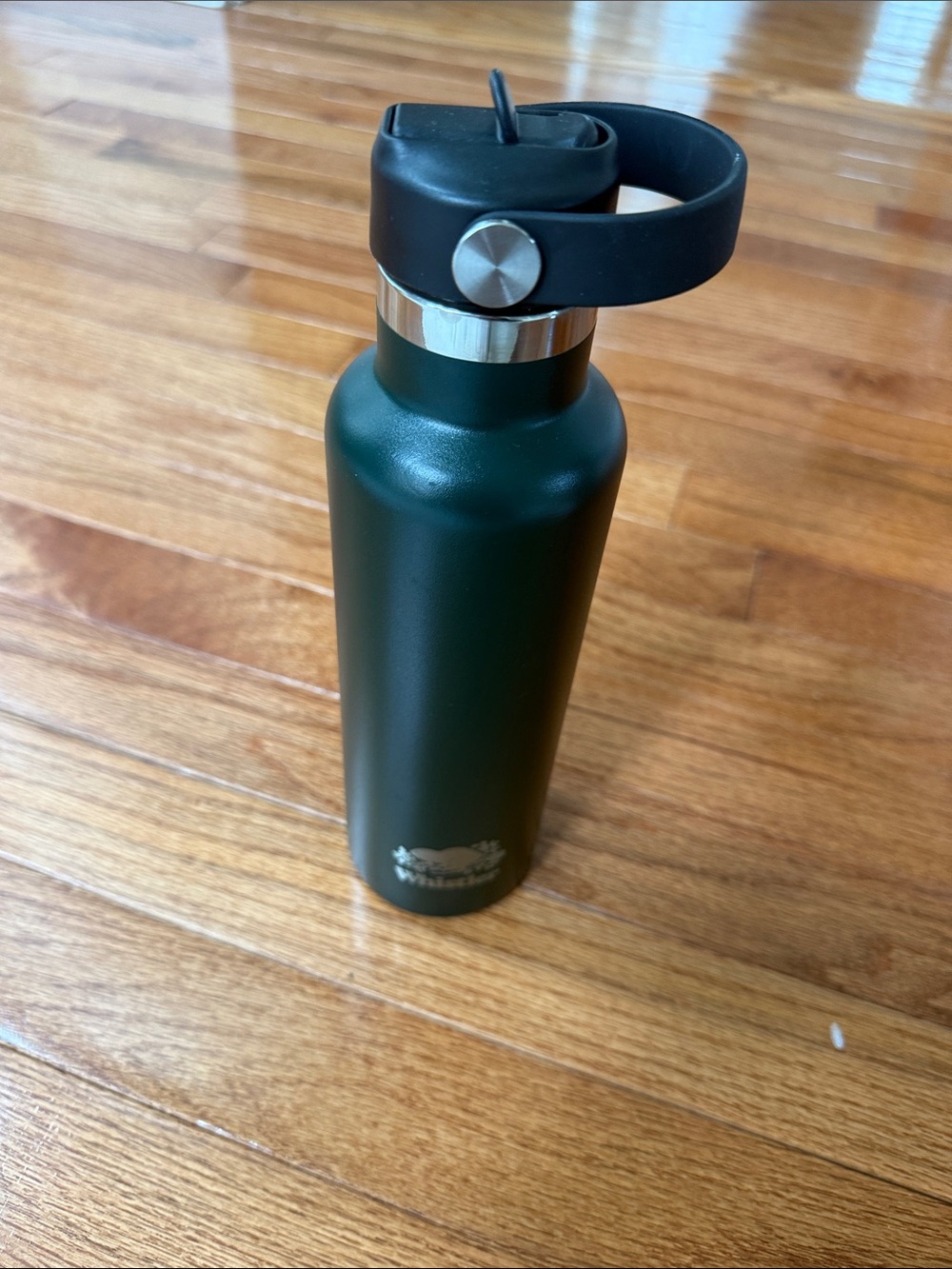 Green Stainless Steel Water Bottle with Black Carry Lid
